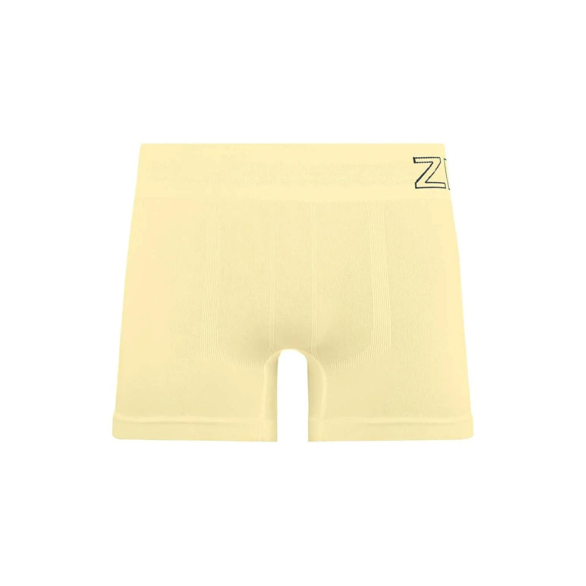 Cueca Boxer Sem Costura Lisa